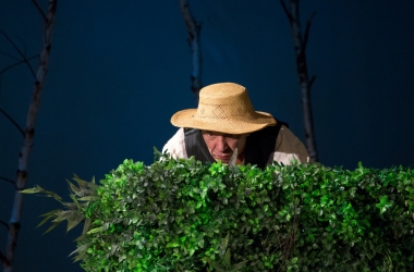 ogród, zza zielonego żywopłotu wyłania się głowa starszego mężczyzny w słomkowym kapeluszu jest to ogrodnik